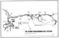 NC V1 Stump Cross Mongo Gill System